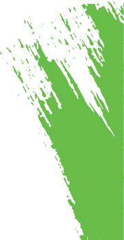 Green color splash graphic enhancing website headings and visual appeal.